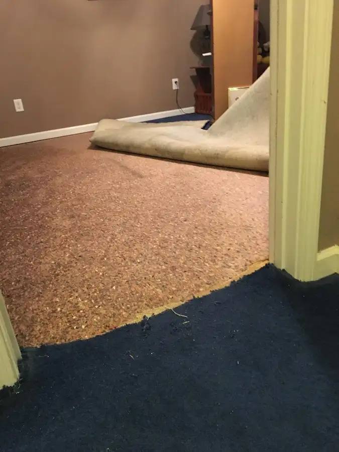 Carpet pad removal revealing water damage during Drying & Dehumidification in Phelps