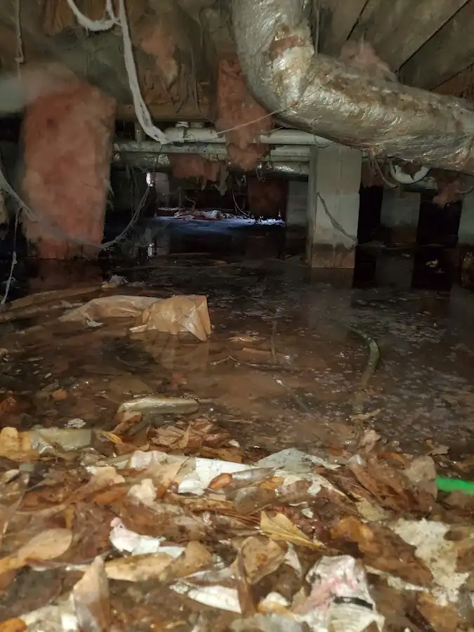 Crawl space flood assessment for Commercial Water Damage Restoration in Phelps