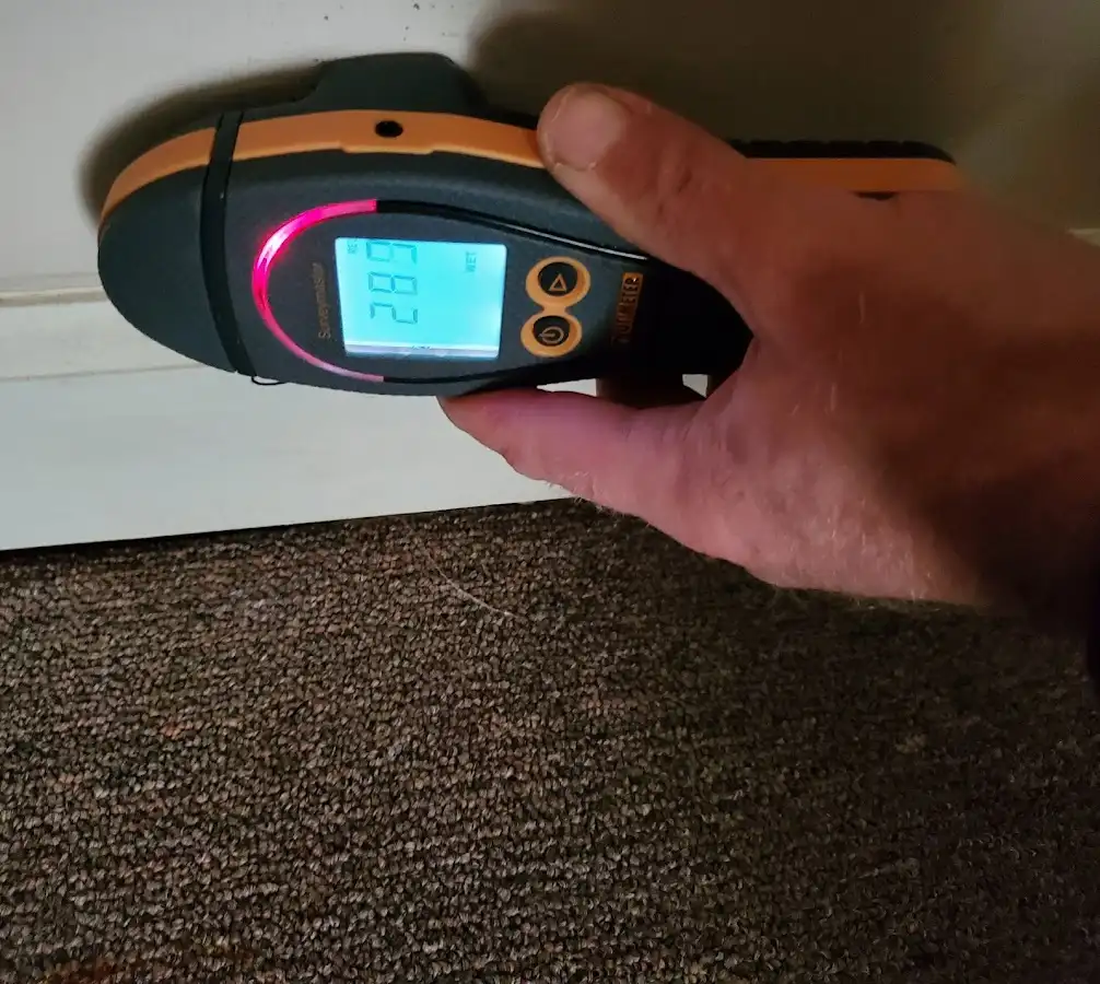 Moisture detection at baseboard during Sewage Cleanup & Sanitation in Phelps